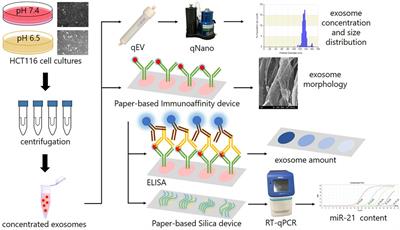 Paper-Based Devices for Capturing Exosomes and Exosomal Nucleic Acids From Biological Samples